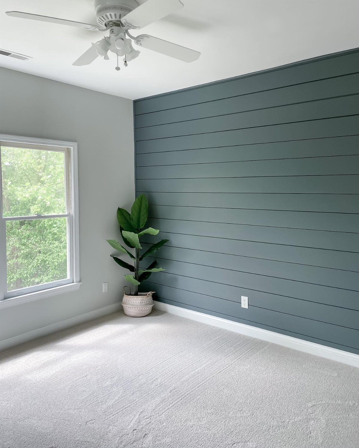 Dark teal shiplap accent wall in a bright room with a window and potted plant.